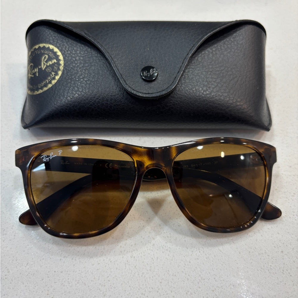 Ray-Ban Brown Polarized Sunglasses